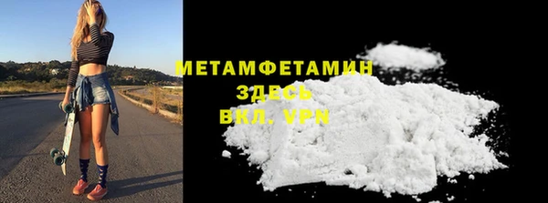 ПСИЛОЦИБИНОВЫЕ ГРИБЫ Михайлов