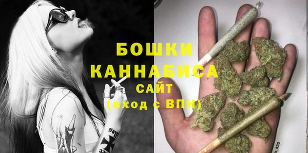 ПСИЛОЦИБИНОВЫЕ ГРИБЫ Михайлов