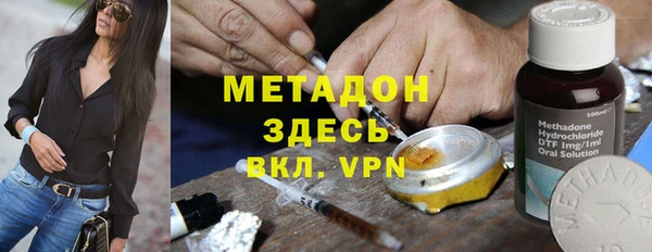 прущие грибы Вяземский