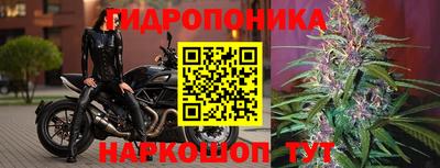 дмт Канаш