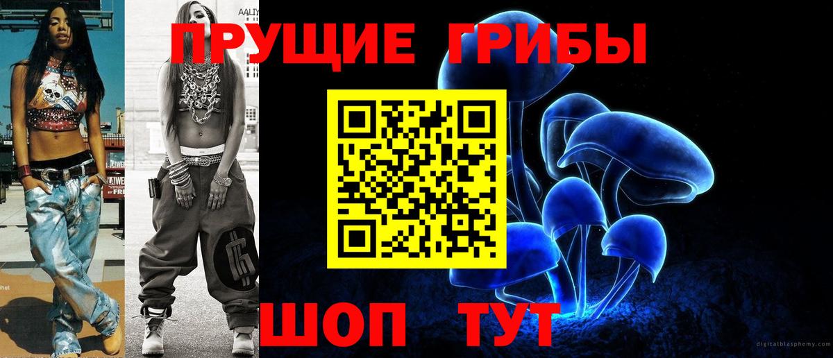 Псилоцибиновые грибы MAGIC MUSHROOMS  Галлюциногенные грибы Psilocybe  Балтийск 