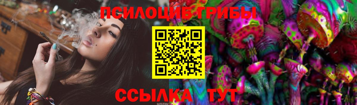 Галлюциногенные грибы Psilocybine cubensis Балтийск